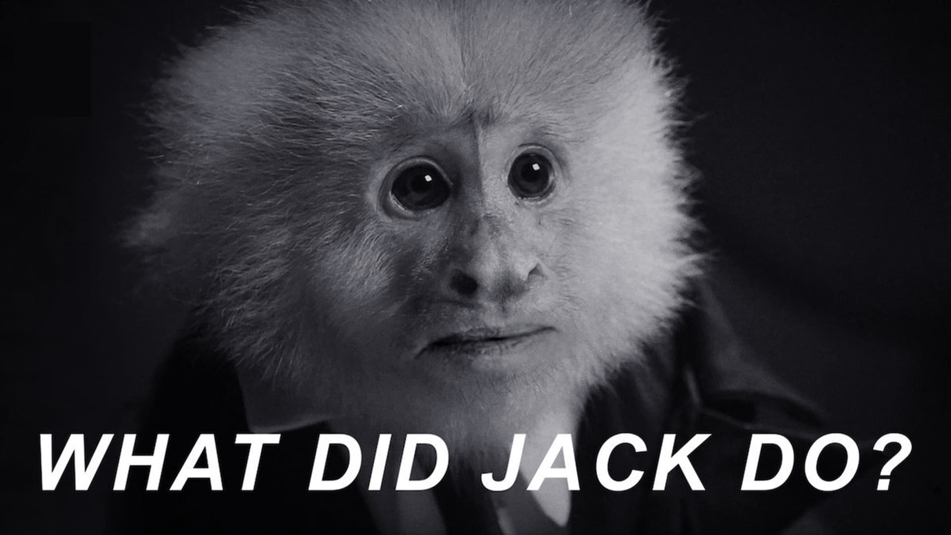 Image from the movie "WHAT DID JACK DO?"